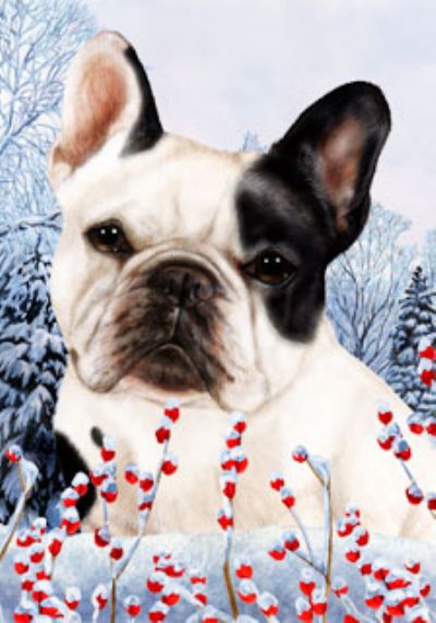 Top Bulldog Berries  Check it out now 