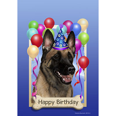 happy birthday belgian malinois